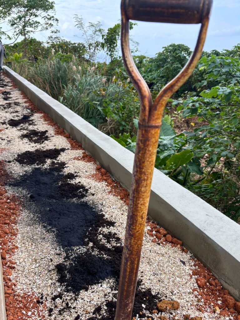 京都を拠点に活動するランドスケープデザインスタジオplantwiseの沖縄古宇利島の土壌改良作業