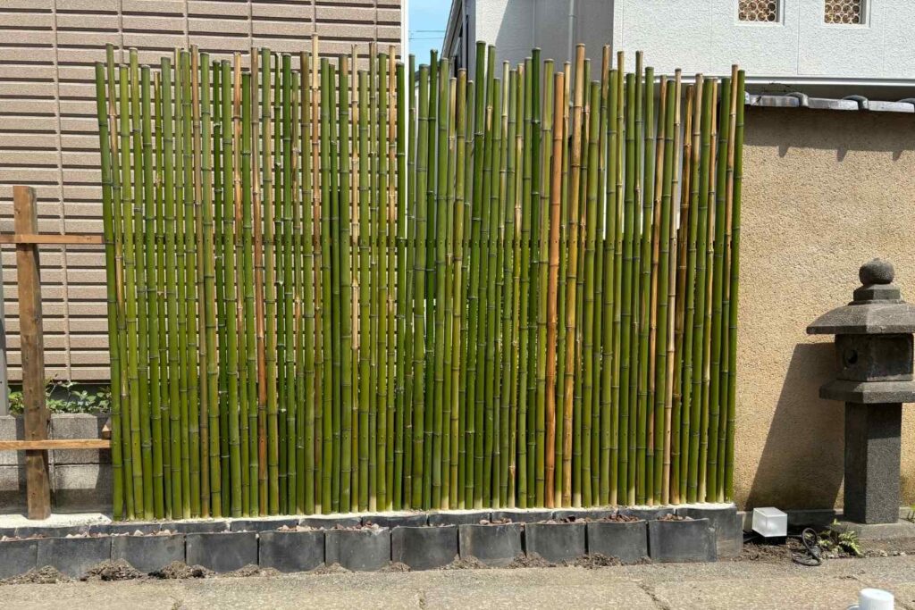 京都を拠点に活動するランドスケープデザインスタジオplantwiseが植栽設計した京都北山の庭の竹垣の作成中