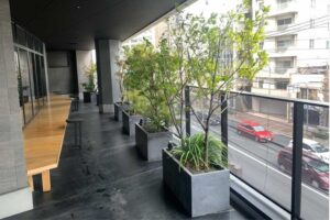 京都のホテル植栽メンテナンス