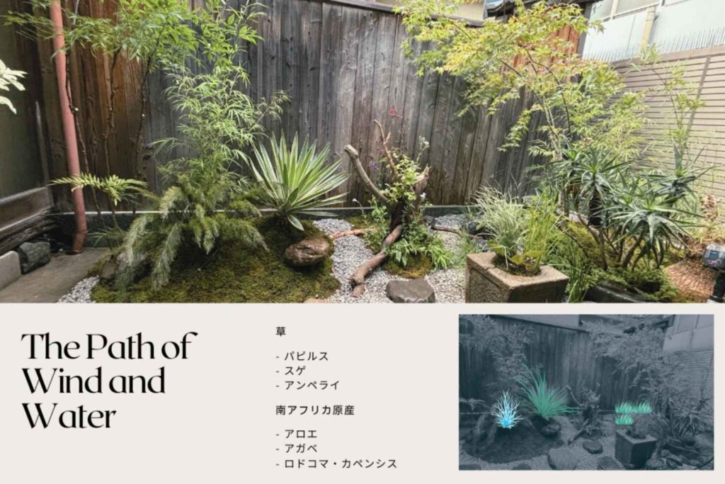 京都を拠点に活動するランドスケープデザインスタジオplantwiseが植栽設計した京都薬師町のアロエを使った庭
