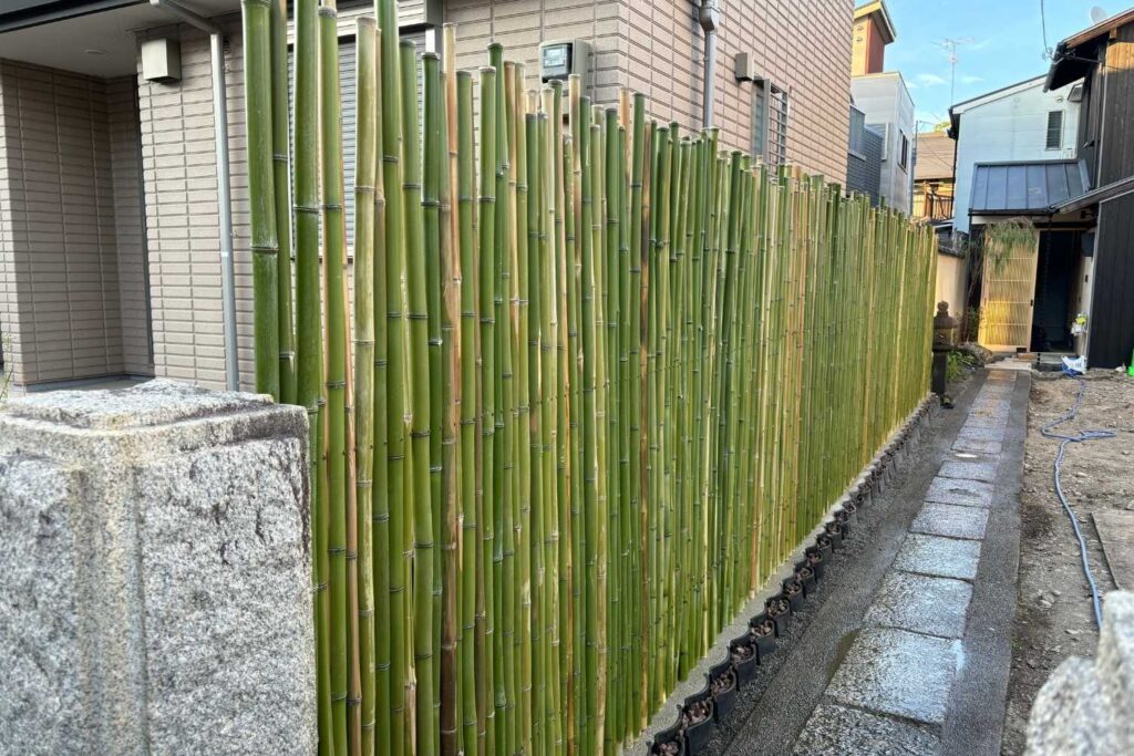 京都白川の竹垣工事画像。路地プロジェクトのガーデンデザイン。京町家の庭のガーデンデザイン。