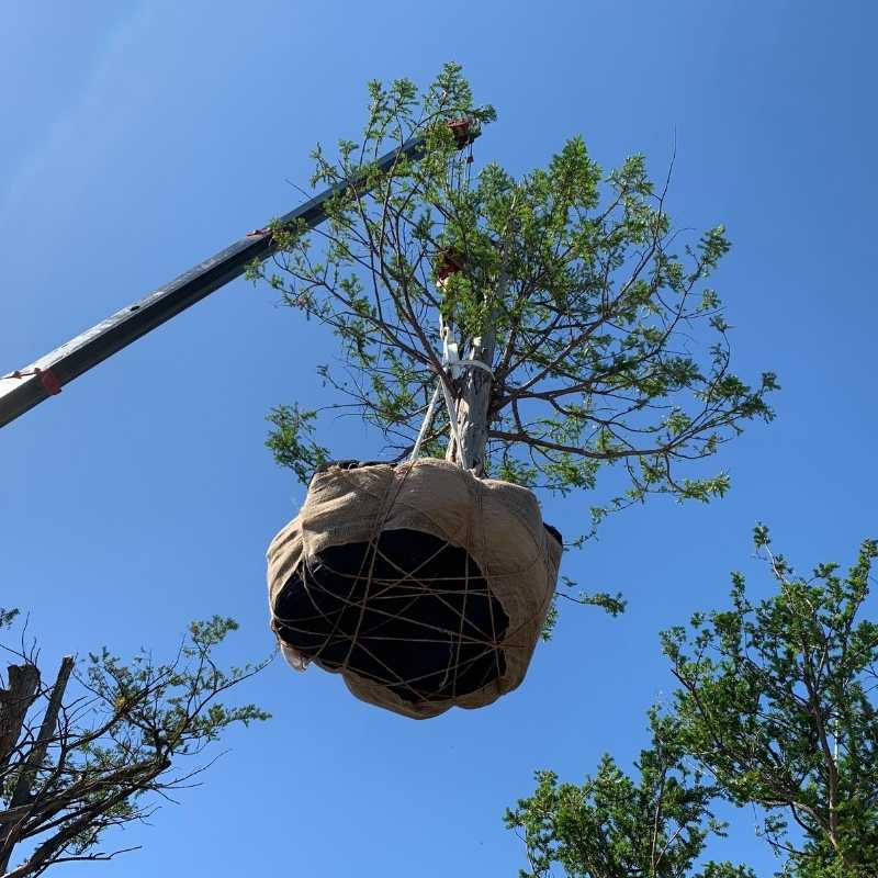 京都の植栽設計・室内緑化を手がけるplantwise KYOTO。植栽設計・庭園・ランドスケープの紹介。ガーデンデザインから施工まで行います。