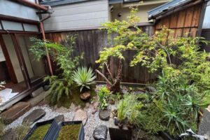 京都を拠点に活動するランドスケープデザインスタジオplantwiseが植栽設計した京町家の造園施工苔はり前