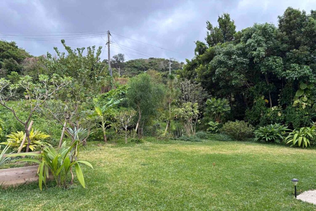 京都を拠点に活動するランドスケープデザインスタジオplantwiseが植栽設計した沖沖縄今帰仁村のパーマカルチャー