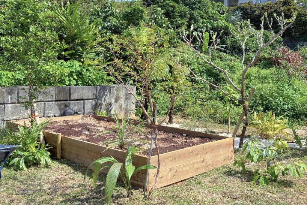 京都を拠点に活動するランドスケープデザインスタジオplantwiseが植栽設計した沖縄今帰仁村のパーマカルチャー　レイズドベッド