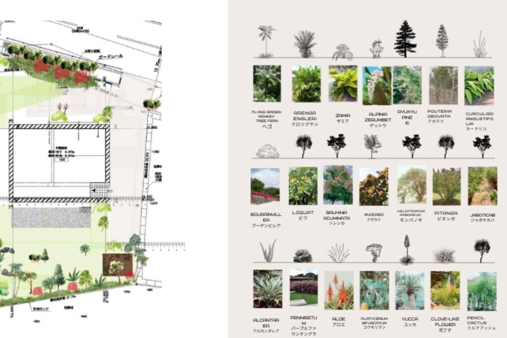 沖縄今帰仁村の庭の構成。エディブルガーデンの植栽設計図。