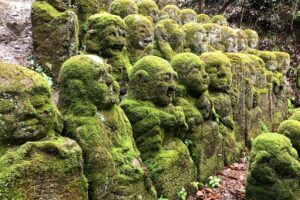 京都を拠点に活動するランドスケープデザインスタジオplantwiseの京都のアニミズム精神イメージ画像