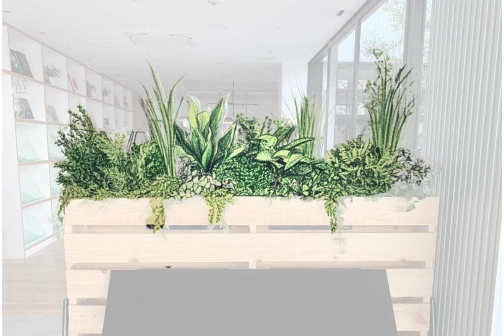 京都の観葉植物リースを行うplantwiseの室内緑化事例