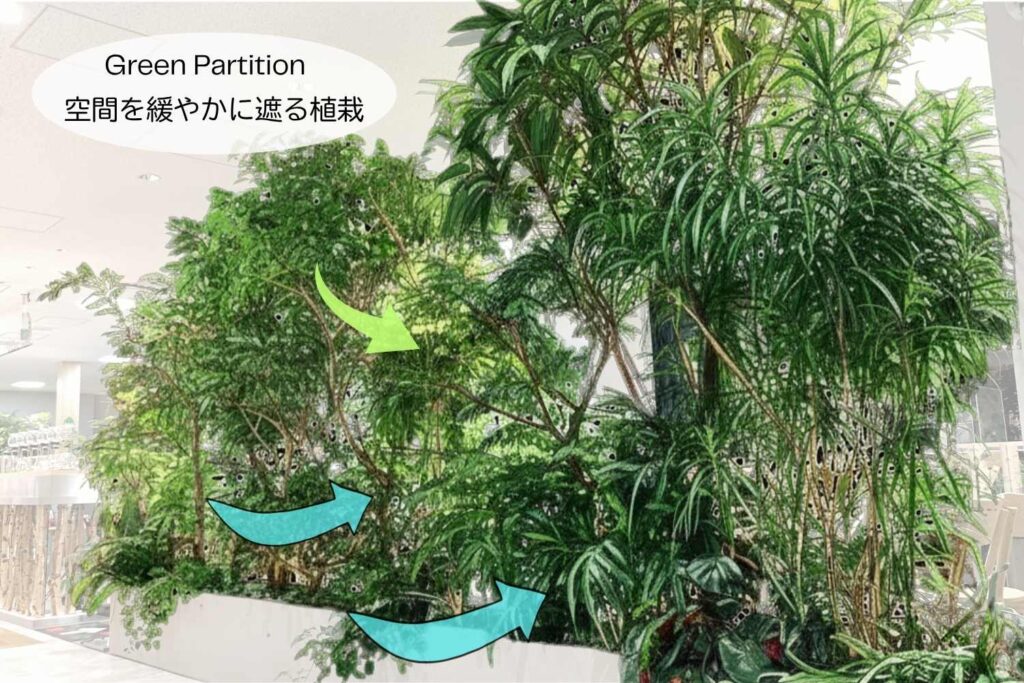 京都の観葉植物リースサービスを行うplantwiseのグリーンパーテーション