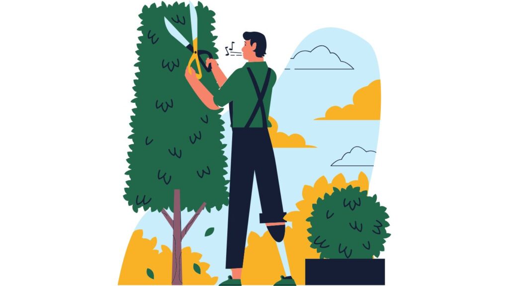 京都の植栽設計・室内緑化を手がけるplantwise KYOTO。室内緑化サービスの紹介。