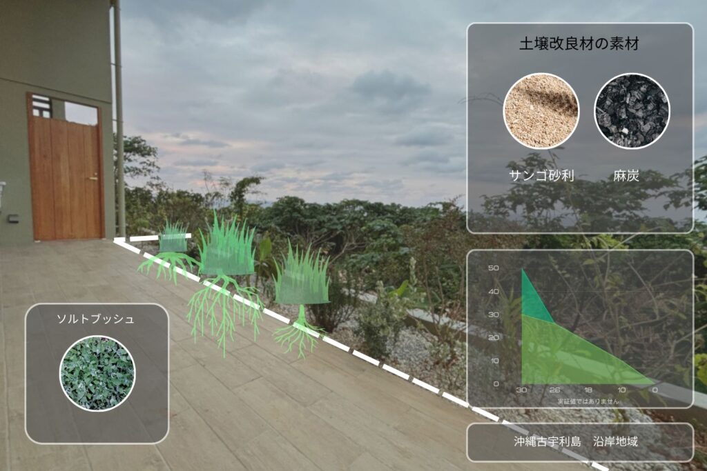 plantwiseが植栽した沖縄古宇利島の塩害対策の為の土壌設計