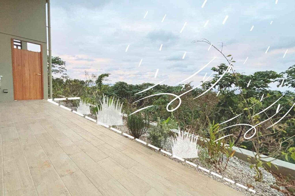 沖縄古宇利島での植栽。塩害の原因となる雨と風。