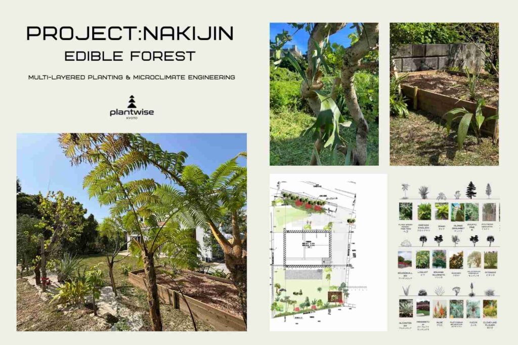 京都の植栽デザインスタジオplantwiseが手がけた多層的フォレストガーデンの植栽デザインポートフォリオ