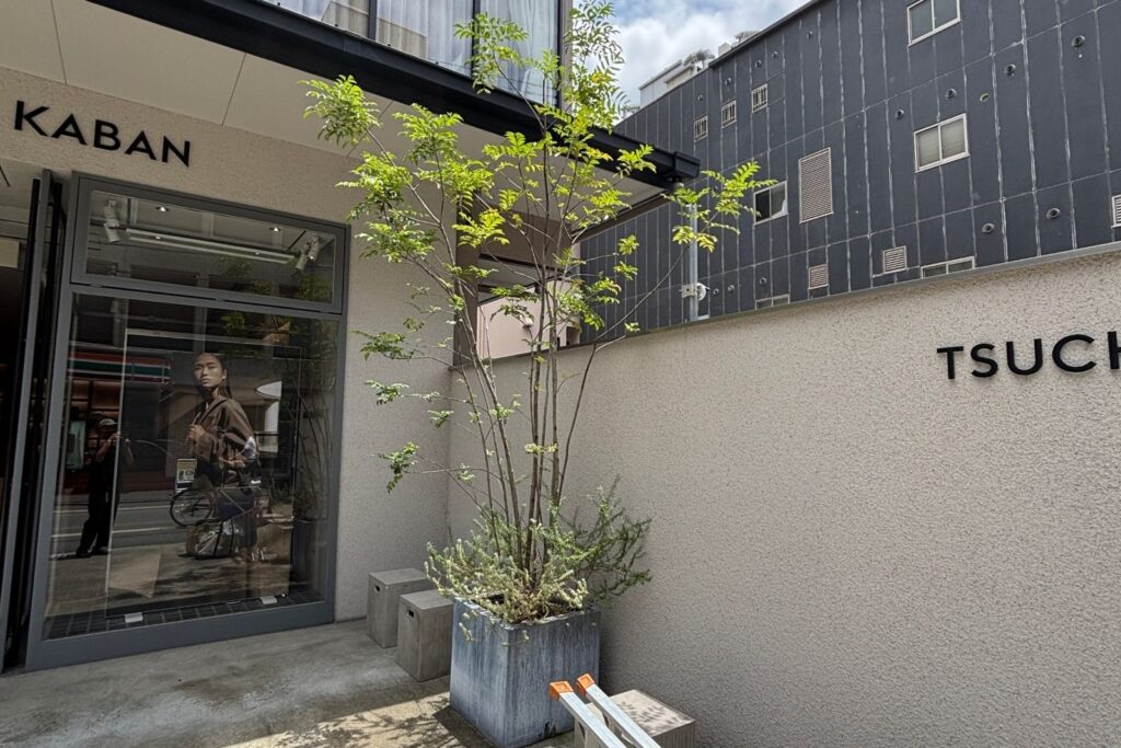 京都市中京区のブランド店舗におけるプランター植栽メンテナンス