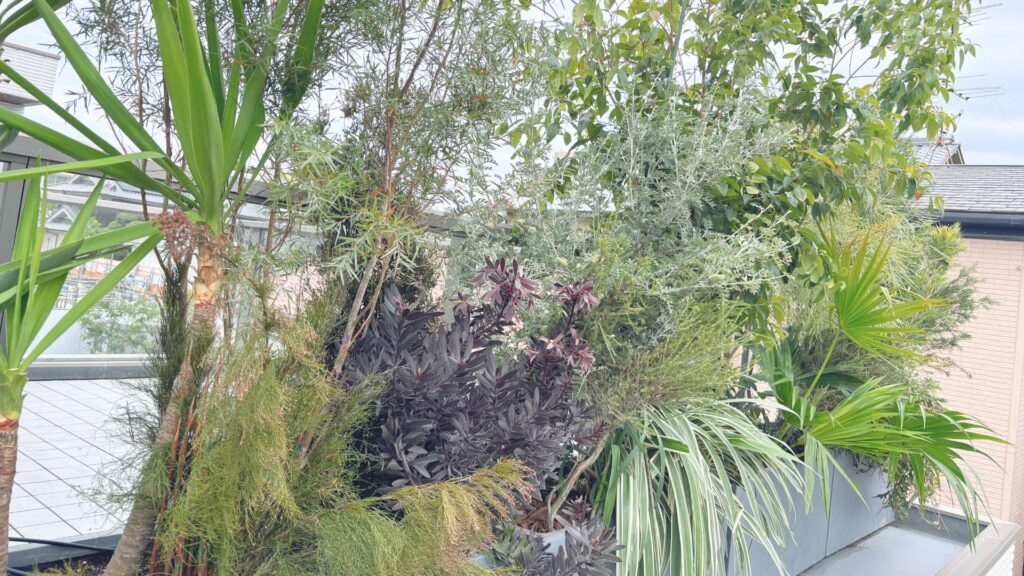 尼崎市の個人邸のプランター植栽のアップ