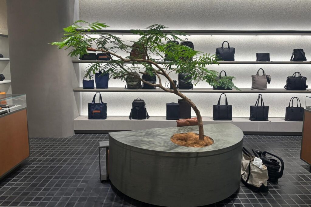 京都のブランドショップの観葉植物リース